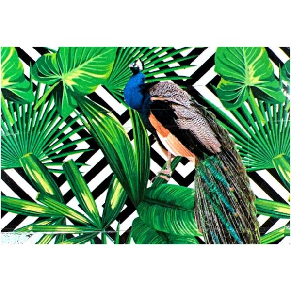 Hire TROPICAL LEAVES PEACOCK 2 Backdrop Hire 3.5mW x 3mH